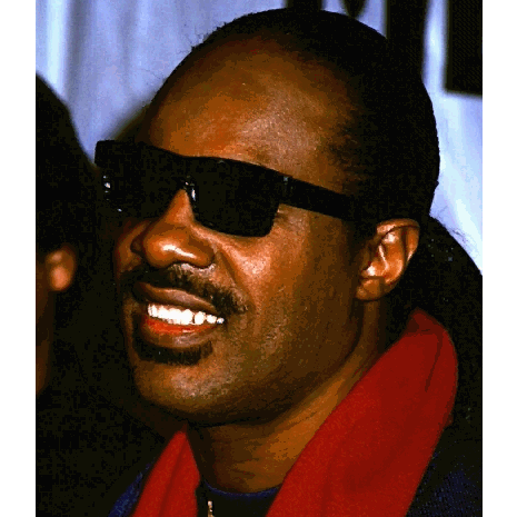 Stevie Wonder